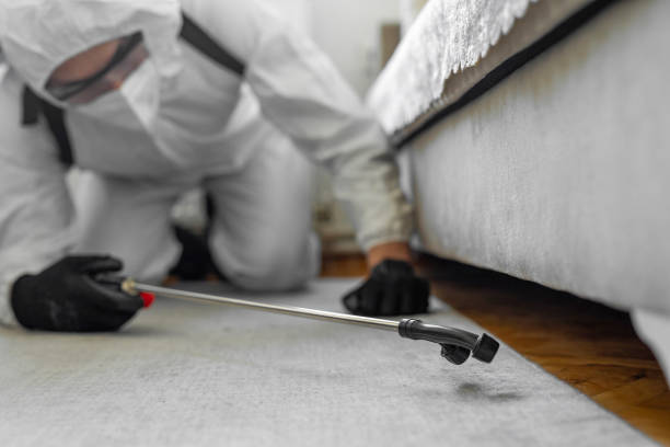 Professional Cockroach Control technician working in Palm Springs, CA