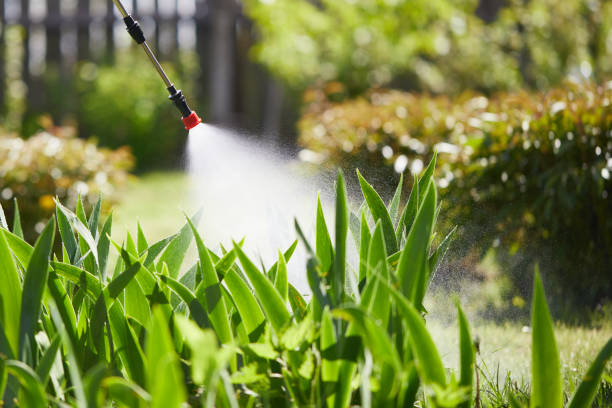 24/7 Emergency Cockroach Control experts in Palm Springs, CA