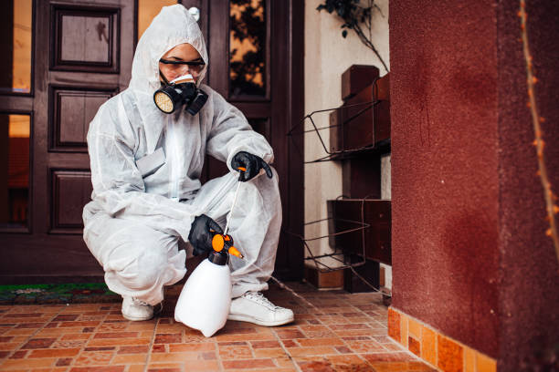 Reliable Cockroach Control contractor in Palm Springs, CA by Nex Pest Control