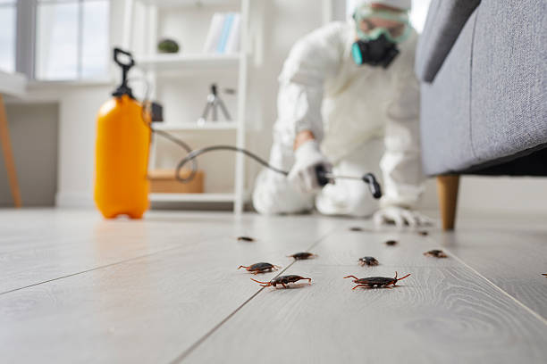 Trusted Fumigation Services service in Palm Springs, CA - Nex Pest Control