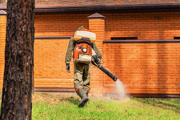 Trusted Emergency Pest Control service in Palm Springs, CA - Nex Pest Control
